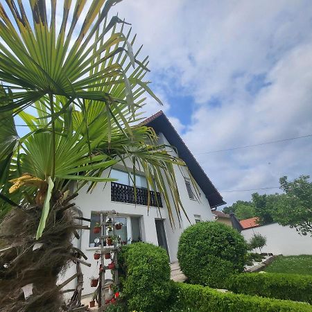 Vila Jovana Vrdnik Esterno foto