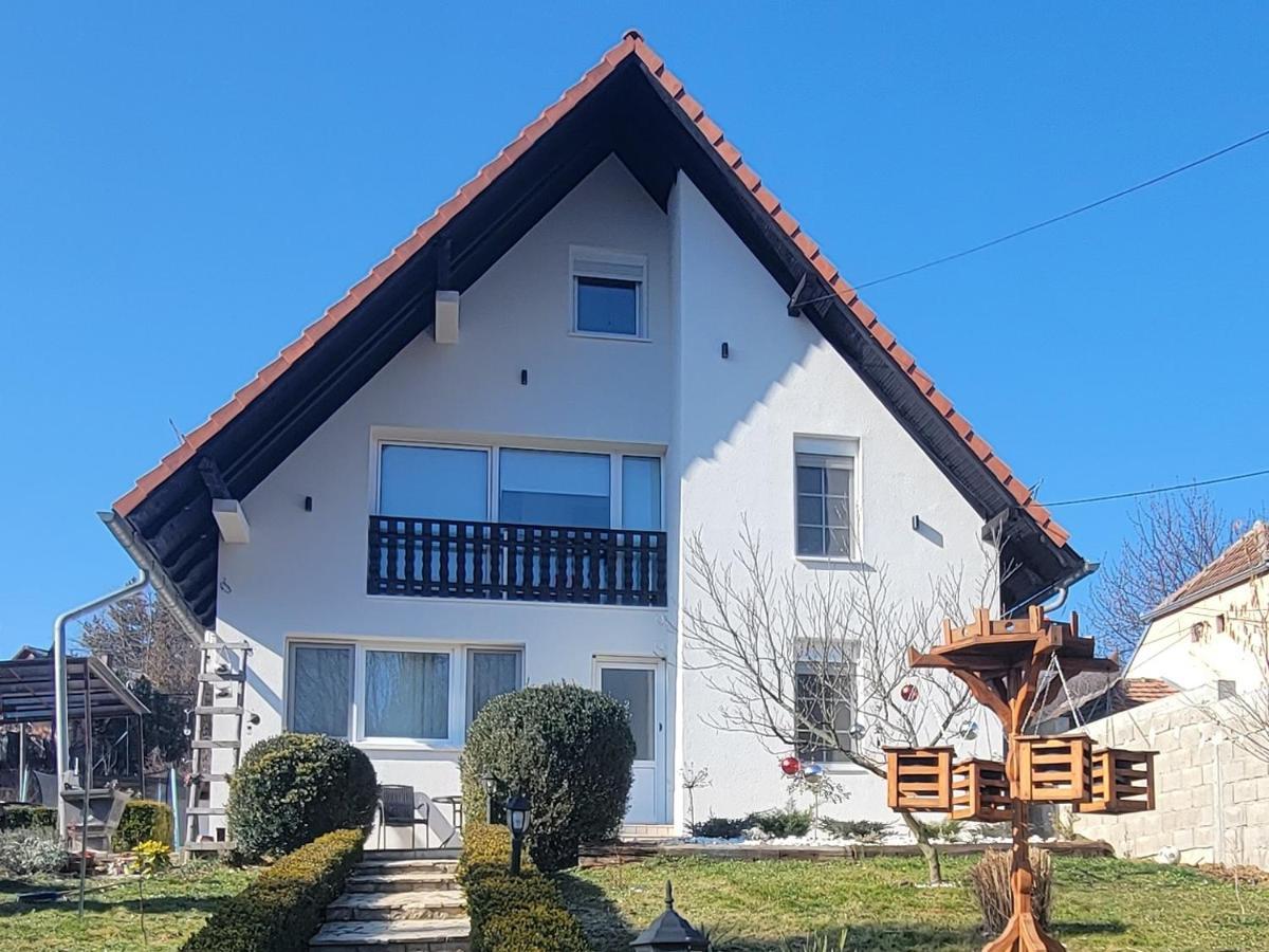 Vila Jovana Vrdnik Esterno foto