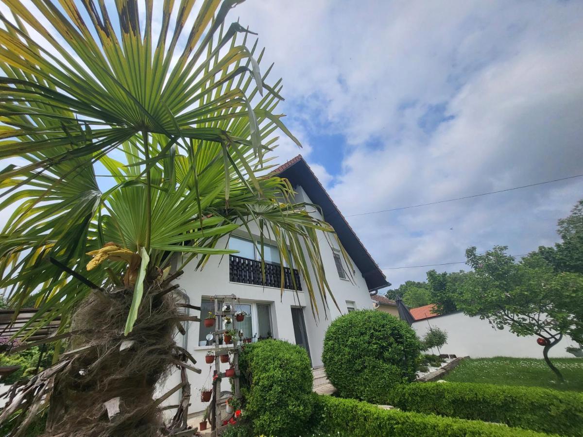 Vila Jovana Vrdnik Esterno foto