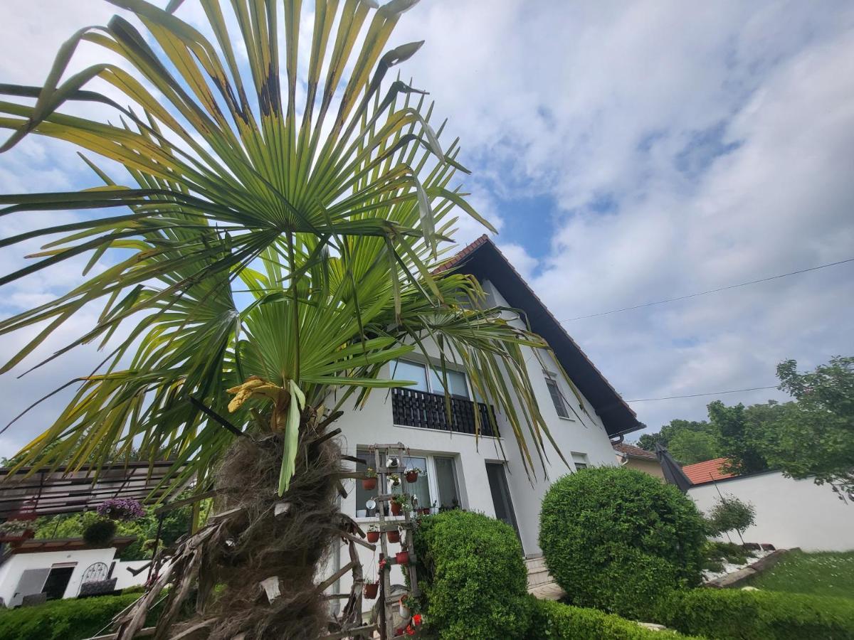 Vila Jovana Vrdnik Esterno foto