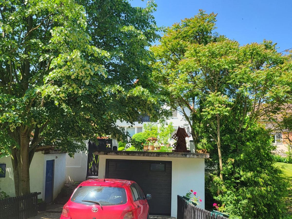 Vila Jovana Vrdnik Esterno foto