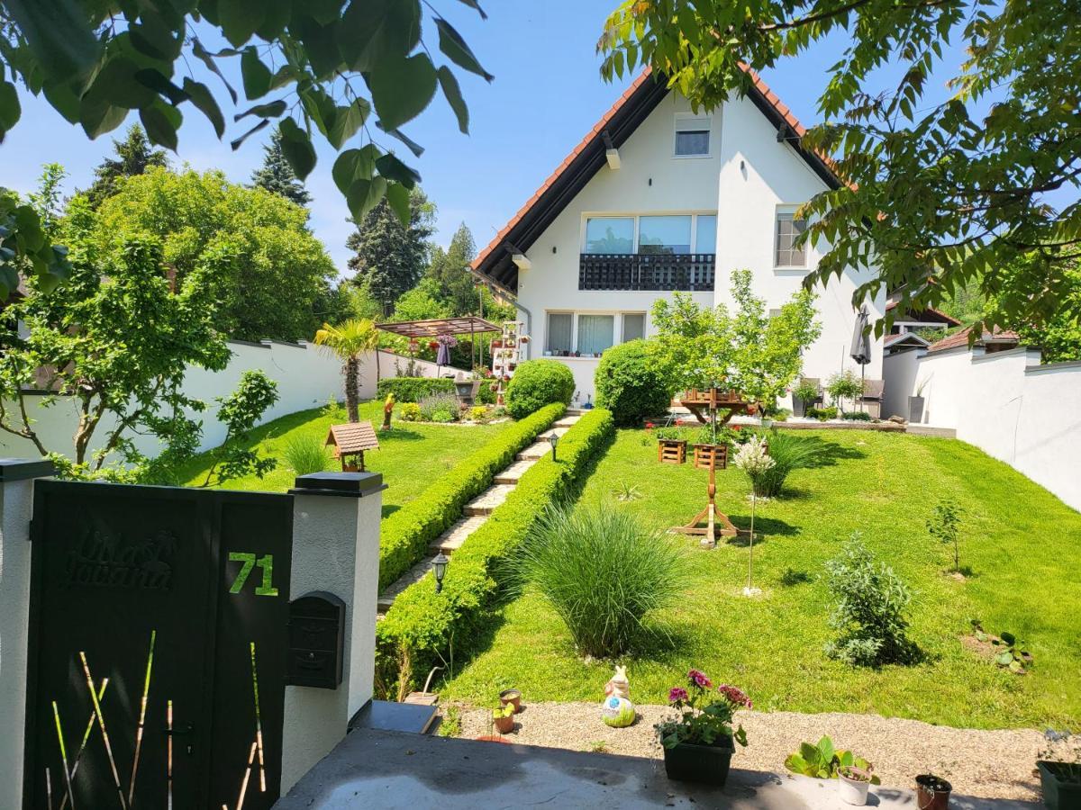 Vila Jovana Vrdnik Esterno foto