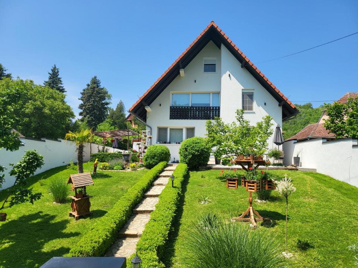 Vila Jovana Vrdnik Esterno foto