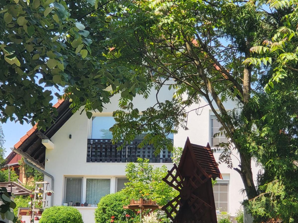 Vila Jovana Vrdnik Esterno foto