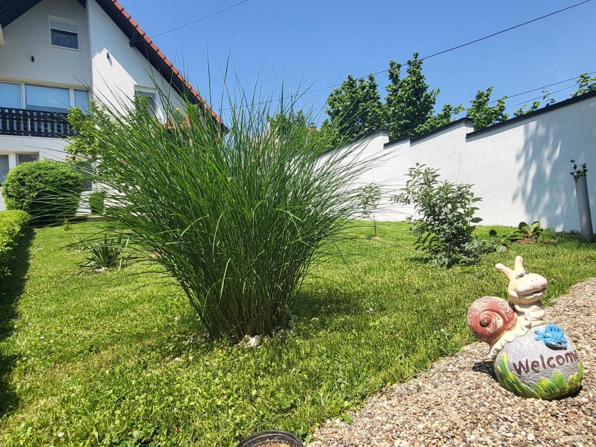Vila Jovana Vrdnik Esterno foto