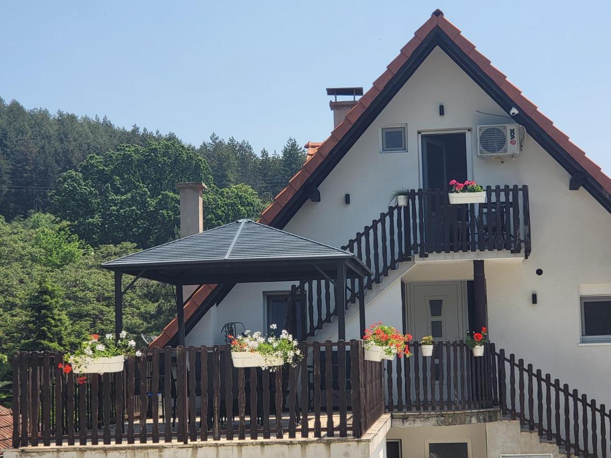 Vila Jovana Vrdnik Esterno foto
