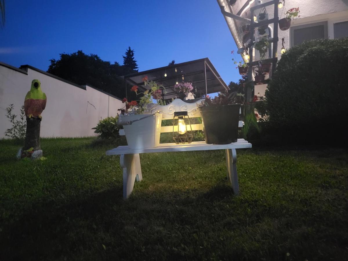 Vila Jovana Vrdnik Esterno foto