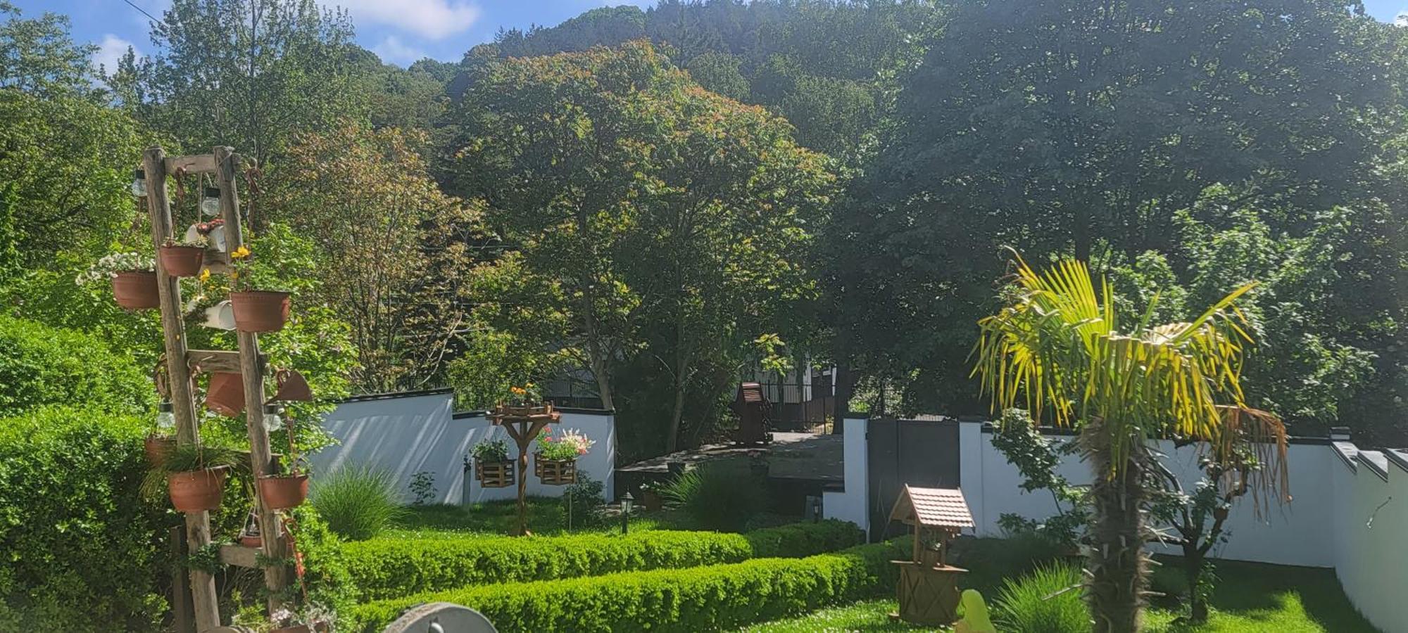 Vila Jovana Vrdnik Esterno foto