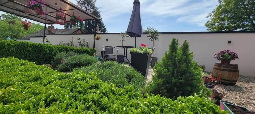 Vila Jovana Vrdnik Esterno foto
