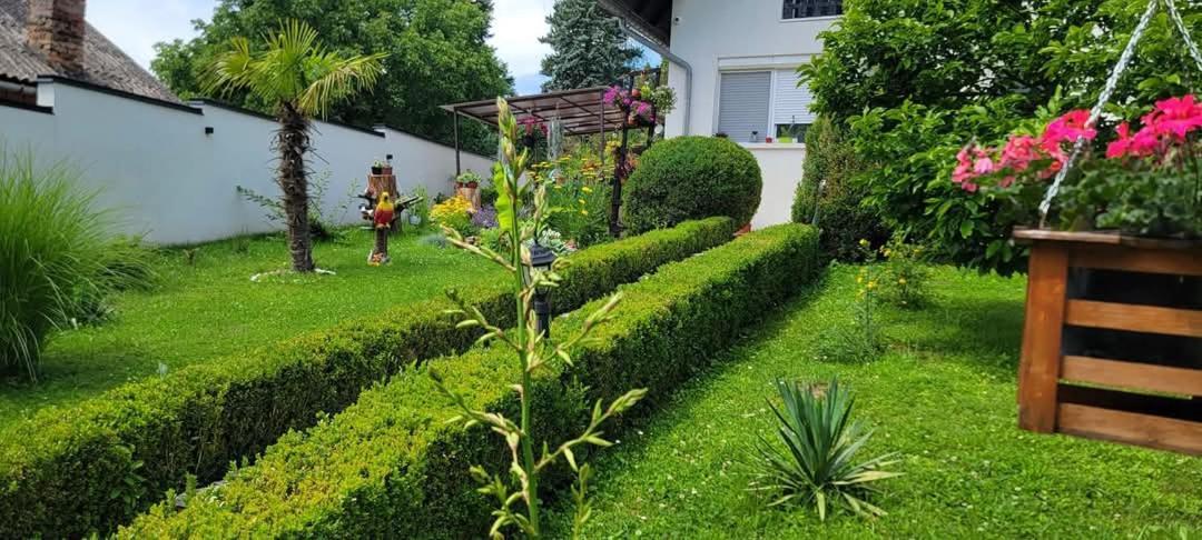 Vila Jovana Vrdnik Esterno foto