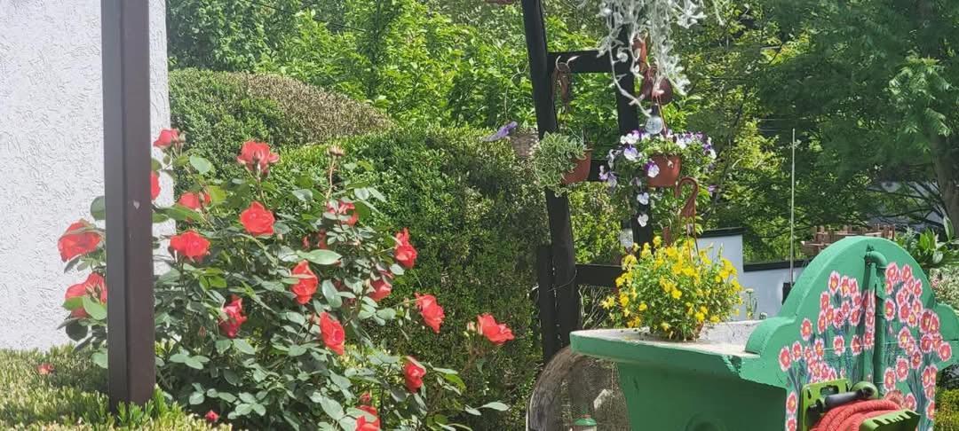 Vila Jovana Vrdnik Esterno foto