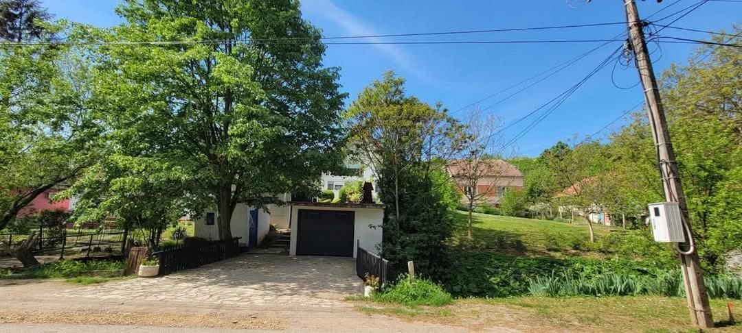 Vila Jovana Vrdnik Esterno foto