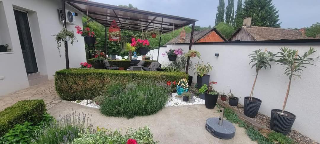 Vila Jovana Vrdnik Esterno foto