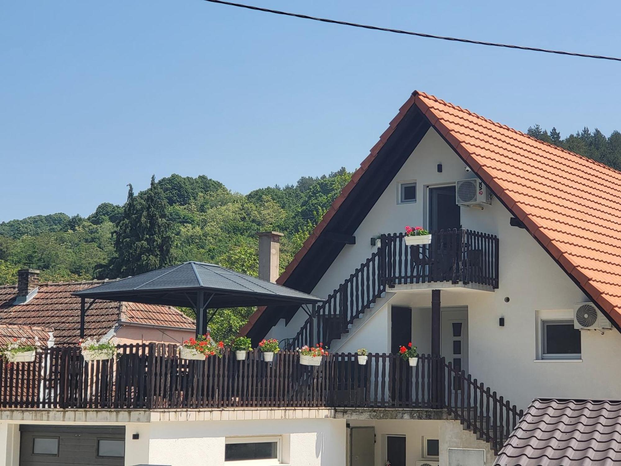Vila Jovana Vrdnik Esterno foto